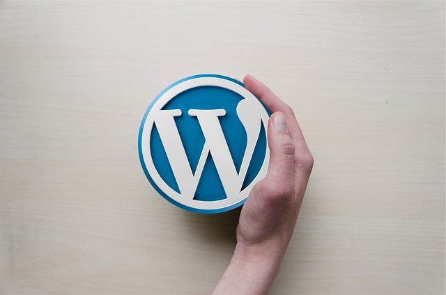 Hébergement WordPress OpusDomus